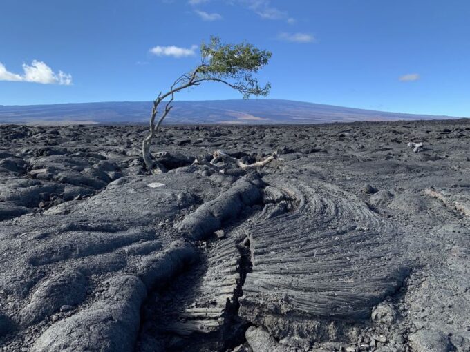 Big Island: Small Group Waterfalls Adventure - Exploring the Bioreserve
