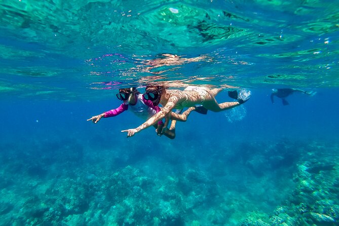 Big Island Snorkel Cruise From Waikoloa - Additional Information