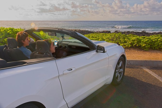 Big Island - South Island Coastal Loop Driving Tour - Reliable Support and Guarantee