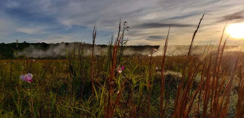 Big Island: Volcanoes National Park Private Tour - Price and Value