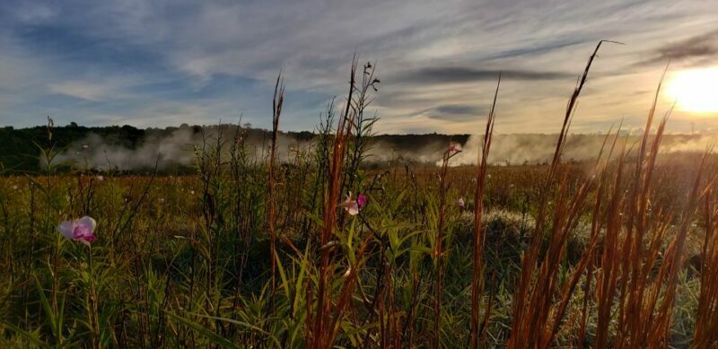 Big Island: Volcanoes National Park Private Tour - Who Will Love This Tour?