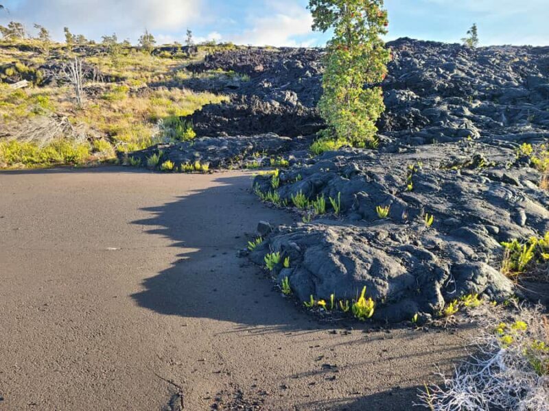Big Island: Volcanoes National Park Private Tour - Final Thoughts