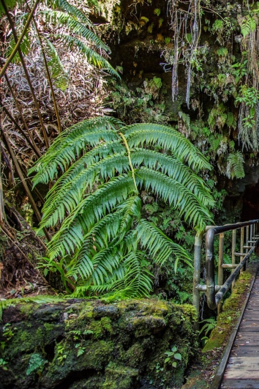 Big Island: Volcanoes, Waterfalls, & Coffee Farm Day-Trip - Recommended Attire and Preparation