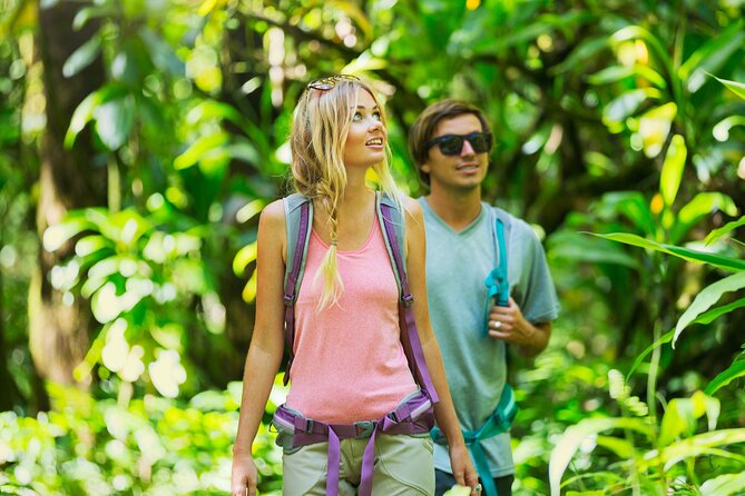 Big Island Waterfall Hiking With Hilo Cruise Ship Pickup - Suitability and Accessibility
