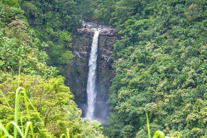 Big Island Waterfall Hiking With Hilo Cruise Ship Pickup - Host Response to Feedback