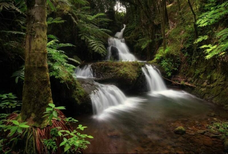 Big Island: Waterfall Tour with Swimming & Botanical Garden - Key Points