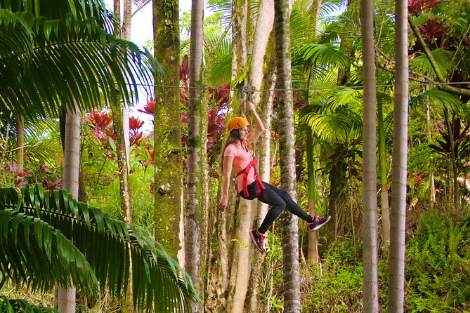 Big Island Zipline Adventure - Reviews