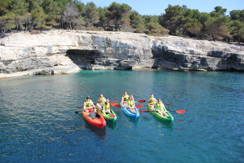 BIG MAMA KAYAK TOURS - Languages and Customer Feedback