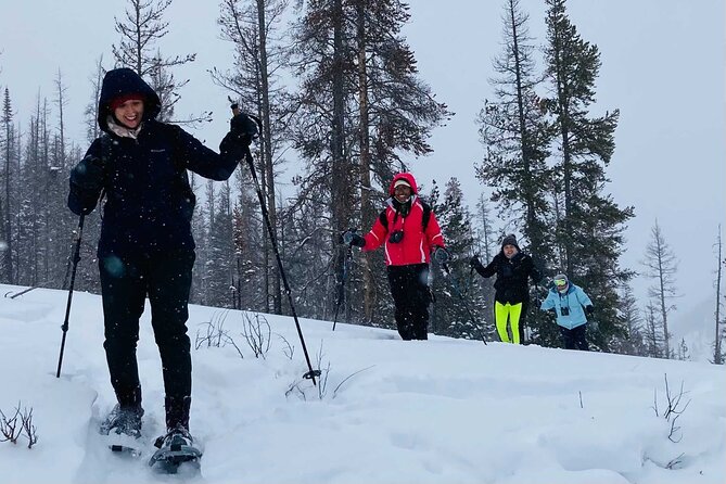 Big Sky Snowshoe & Wildlife Adventure With Lunch - Private Tour - Tour Overview
