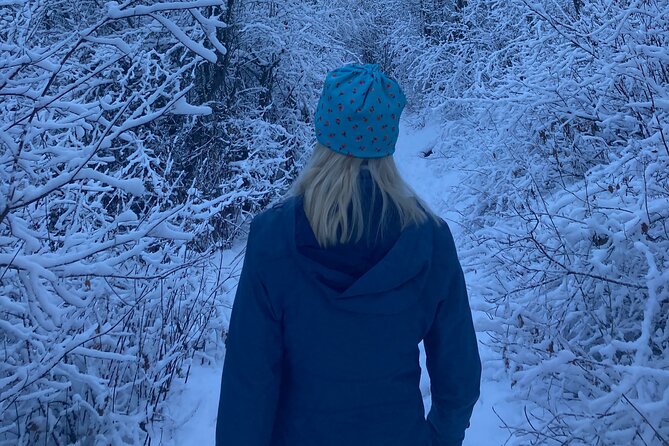 Big Sky Snowshoe & Wildlife Adventure With Lunch - Private Tour - Pickup and Meeting Options