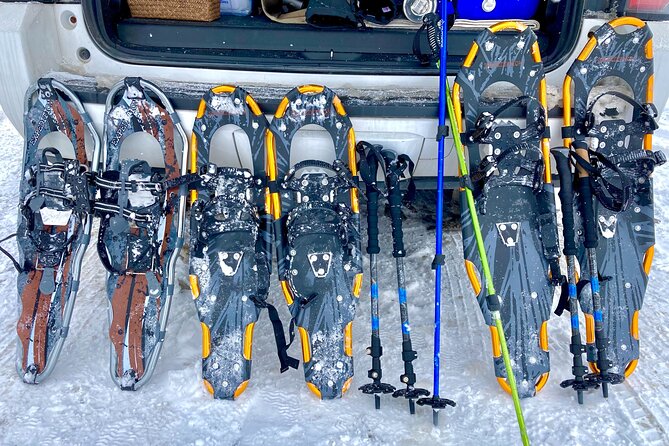 Big Sky Snowshoe & Wildlife Adventure With Lunch - Private Tour - Scenic Snowshoe Excursion
