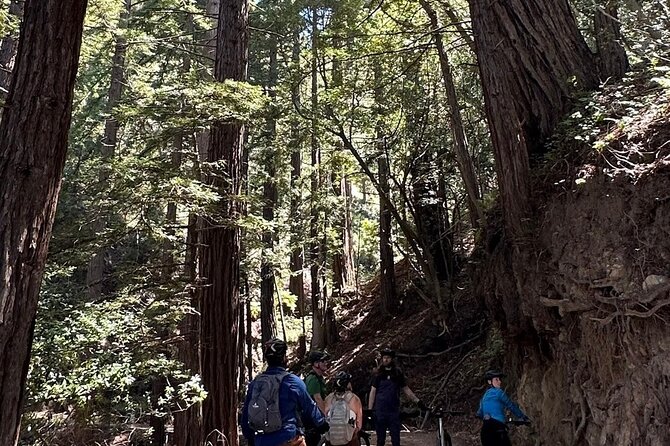 Big Sur Electric Bike Tour Along Old Coast Road - Exploring Beyond the Tour
