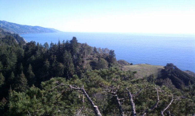 Big Sur: Sightseeing Tour With 4 to 5 Stops - Cancellation Policy