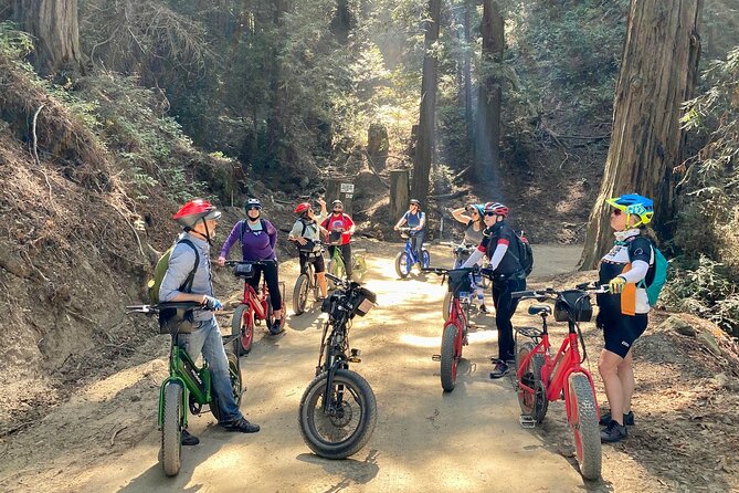 Big Surs Old Coast Road Ebike Tour - Highlights of the Ebike Tour