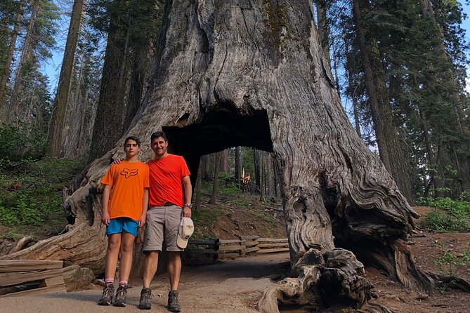 Big Trees Hike & Riverside Cookout Adventure - Riverside Beach and Picnic Lunch