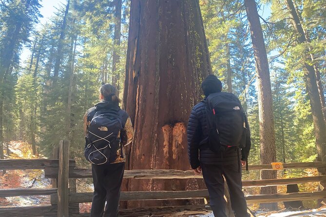 Big Trees Hike & Riverside Cookout Adventure - Preparation for the Hiking Adventure