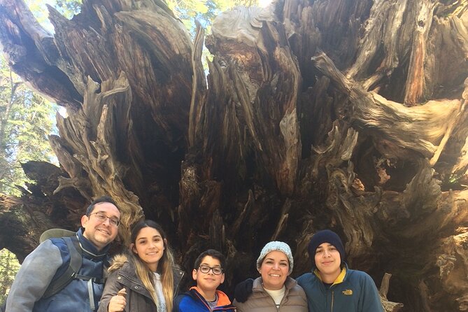 Big Trees Hike & Riverside Cookout Adventure - Riverside Beach and Picnic Lunch
