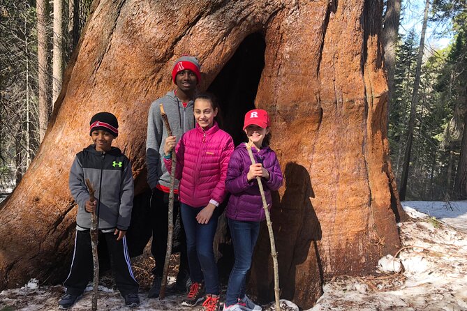 Big Trees Hike & Riverside Cookout Adventure - Accessibility and Physical Fitness Level