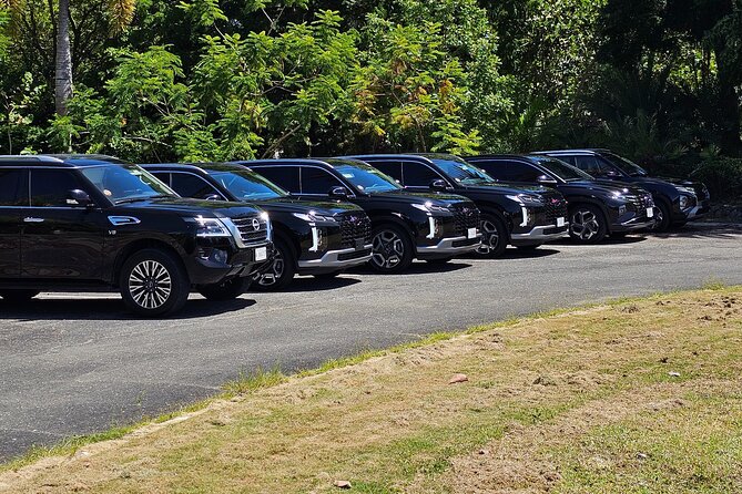 Biggvee Chauffeur Service - Tour Availability and Hours