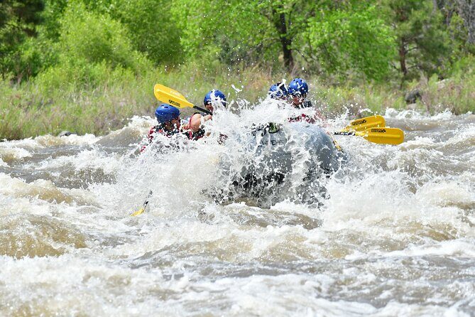 Bighorn Sheep Canyon Full Day Beginner Whitewater Rafting Tour - Key Points