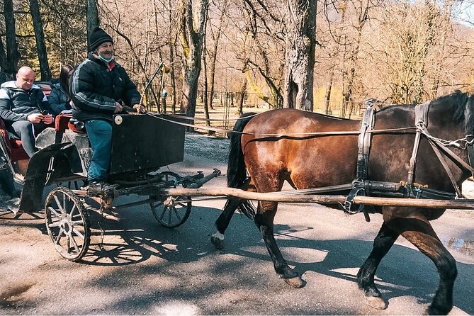 Bijambare Cave and Spring of River Bosna Tour - Experience Highlights and Reviews