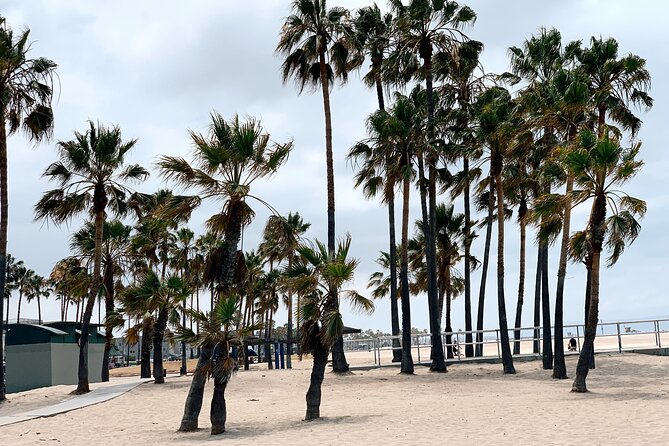 Bike Adventure Tour in Beverly Hills, Santa Monica and Venice - Bike Options