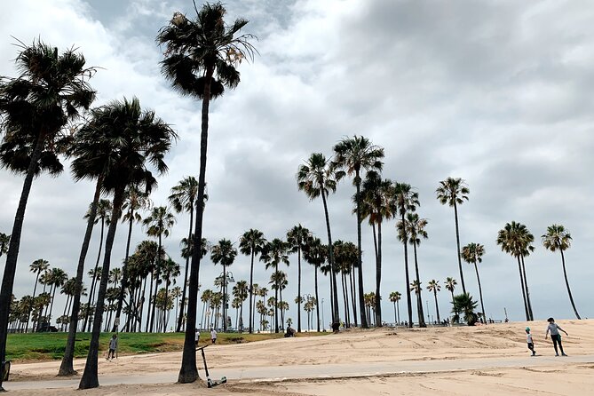 Bike Adventure Tour in Beverly Hills, Santa Monica and Venice - Venice Canals and Boardwalk