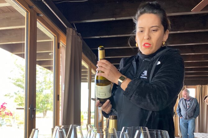 Bike Among Vineyards - Culinary Experience