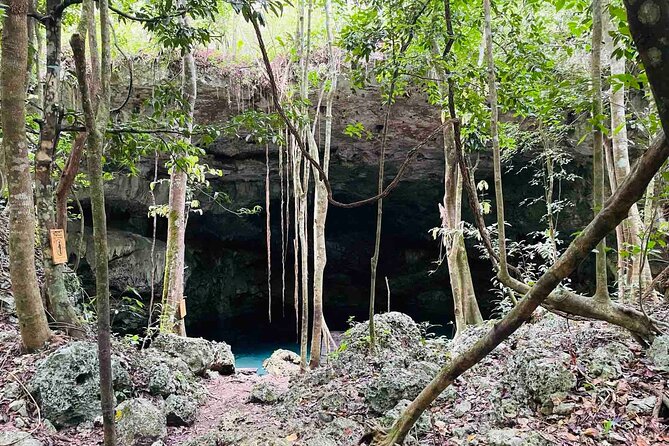 Bike and Buggy Excursion to Cenote Maya With Atypical Meal - Guided Tour in Multiple Languages