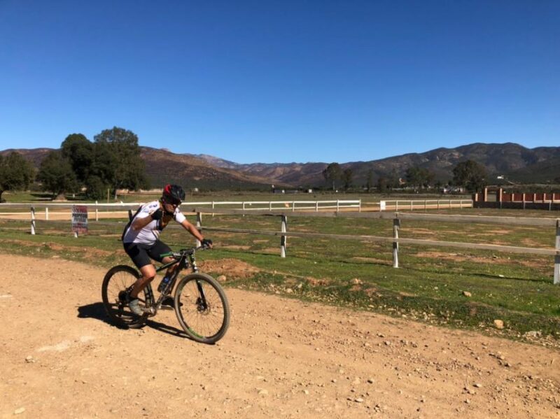 Bike and Wine Amazing Adventure in Valle De Guadalupe - Participant Restrictions