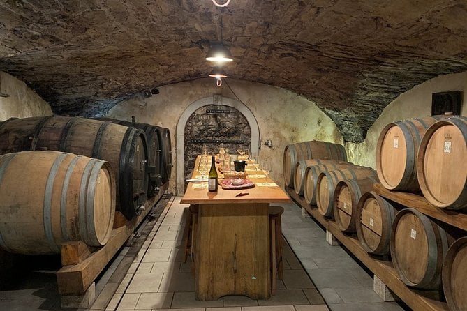 Bike and Wine in Vipava Valley - Practical Information and Requirements