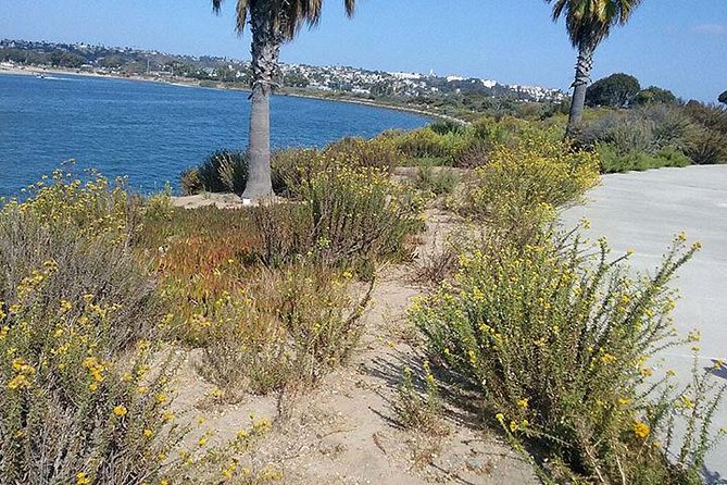 Bike Around San Diego Bay to the Ocean - Exploring Mission Bay
