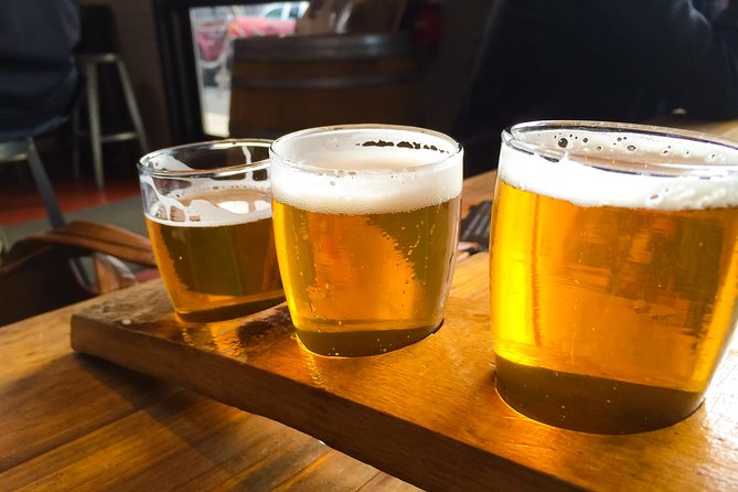 Bike & Brew: Beautiful Denver Downtown Tour by E-Bike or Bicycle - Tour Details and Stats
