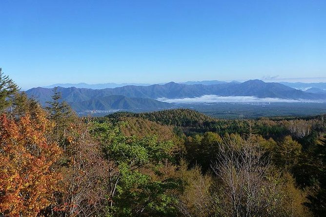 Bike Down Mount Fuji Tour - Bicycle and Gear