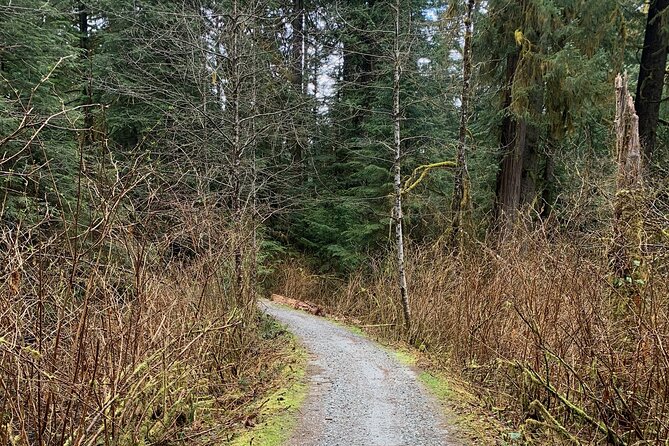 Bike/ E-bike North Vancouvers Seymour Demonstration Forest - Logistics and Availability