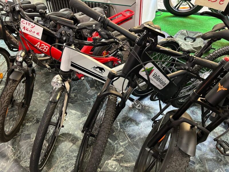 Bike, Ebike Tandem Rent - Key Points