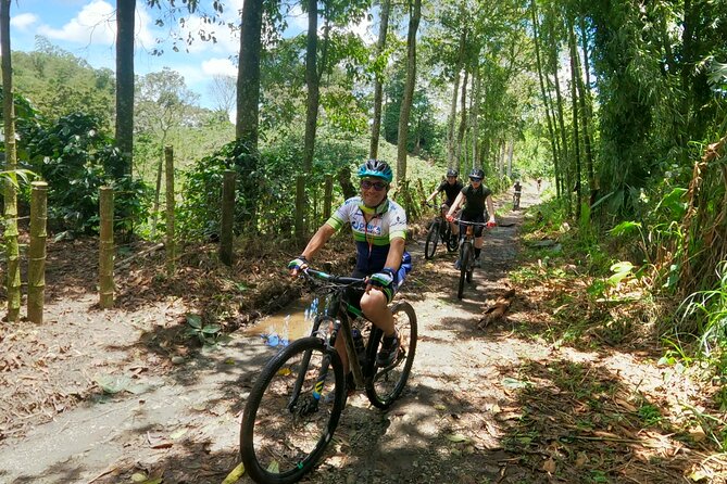 Bike Expedition the Tour of Quindio Colombia Coffee Region - Highlights of the Tour