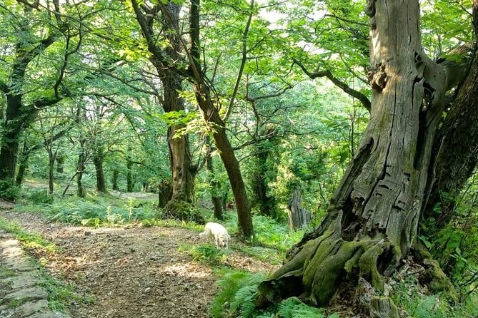 Bike & Hike Tour - Availability and Cancellation