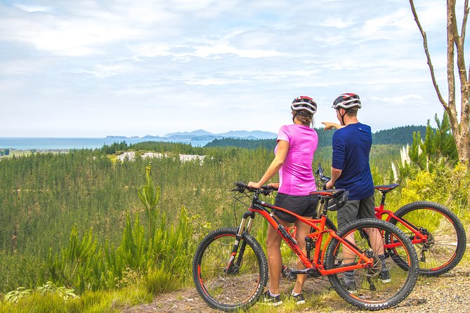 Bike Hire at the Waitangi Mountain Bike Park - Bike and Equipment Options