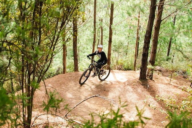 Bike Hire at the Waitangi Mountain Bike Park - Meeting Details