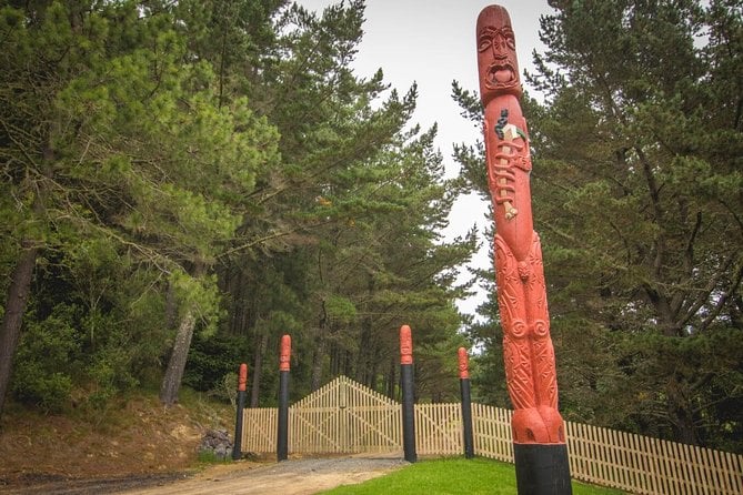 Bike Hire at the Waitangi Mountain Bike Park - Booking and Cancellation