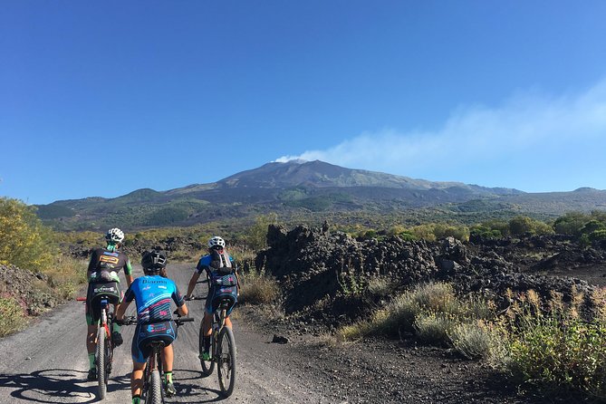 Bike Rent - About Your Stay