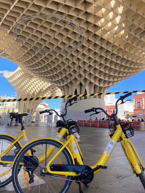 Bike Rental 1 Day - Experience Highlights