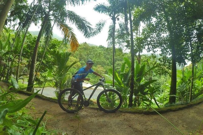 Bike Rental by PARATY TOURS - Rental Duration Options