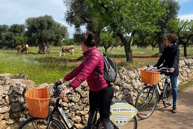 Bike Rental in Bari - Included Safety Equipment