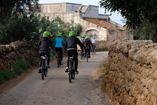 Bike Rental in Bari - Accessibility and Infant Seating