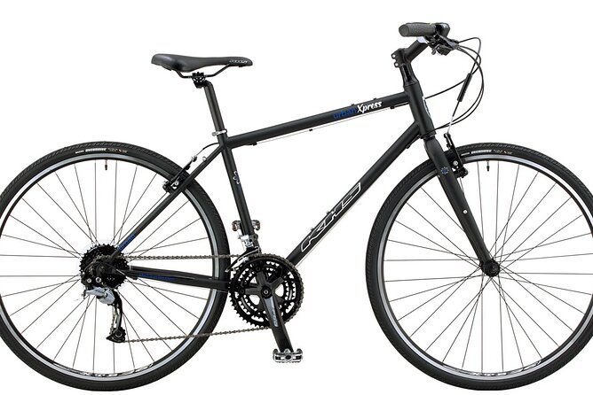 Bike Rental in South Lake Tahoe - Accessible and Inclusive Experiences