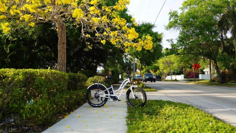 Bike Rental - Booking Process