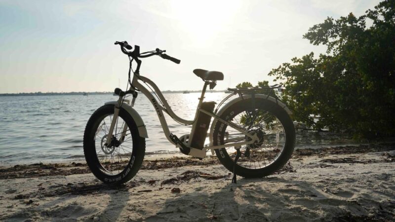 Bike Rental - Customer Feedback