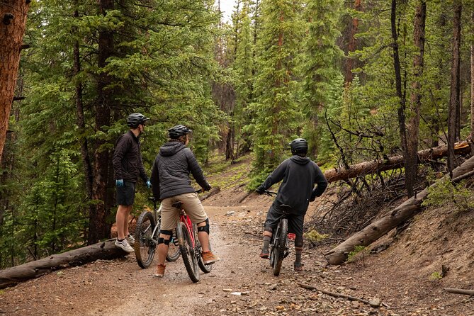 Bike Rentals in Breckenridge - Accessibility and Participation Details